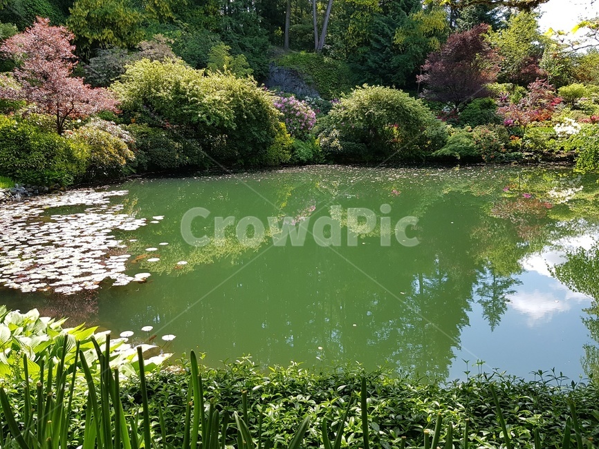 숲속,나무,가든,정원,꽃,봄,여름,자연,풍경,nature,landscape,water,물,outdoors,옥외,pond,못