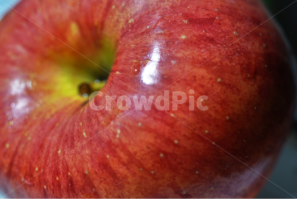 사과,과일,열매,식물,apple,fruit,음식,부사,빨간사과,과일,열매,fruit