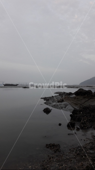 서해안,갯벌,바닷가,아침,풍경,흐린,자연,바다,nature,자연,풍경,nature,landscape,promontory,곶