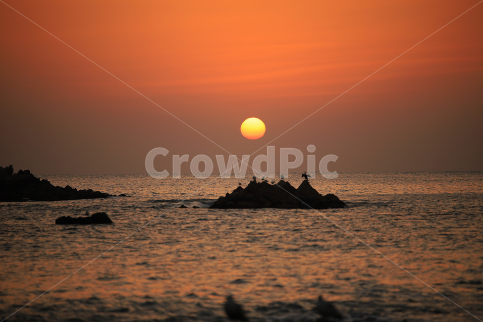 바다,일출,문무대왕릉,경주,bird,새,animal,동물,새벽,redsky,붉은하늘,sky,하늘,outdoors,옥외,nature,자연,sunset,황혼,자연,풍경,nature,landscape,한국자연풍경,한국자연경관,korea nature landscape,새해,new year