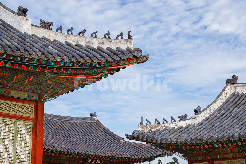 건축물,신전,지붕,건물,경북궁,한국전통,한국문화,korean traditional,korean culture,건축물,건물외관,exterior,building,structure,architecture,construction