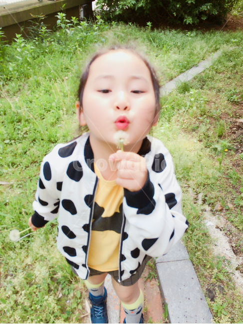 아이,꼬마,어린이,천진난만,표정,민들레,씨앗,공원,새싹,봄,동심,바람,사람,인물,인간,human,person,어린이,어린아이,child,children,kid