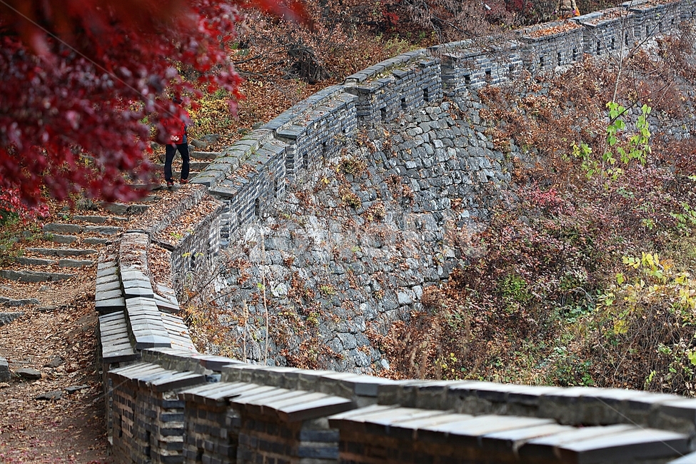 남한산성,성,성곽,단풍,낙엽,길,둘레길,숲,숲길,담,돌담,가을,자연,풍경,벽,울긋불긋,산성,식물,가을,계절,fall,autumn,season