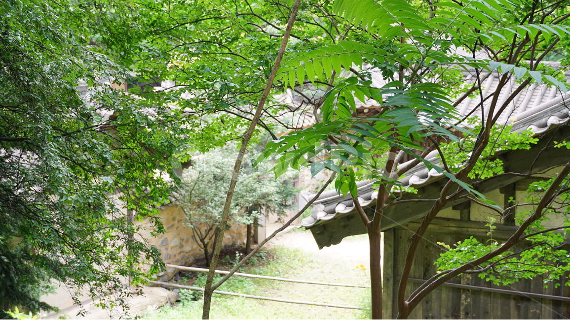 한국,민속촌,집,자연,풍경,자연,풍경,nature,landscape,한국전통,한국문화,korean traditional,korean culture,arbour,정자,garden,정원,outdoors,옥외