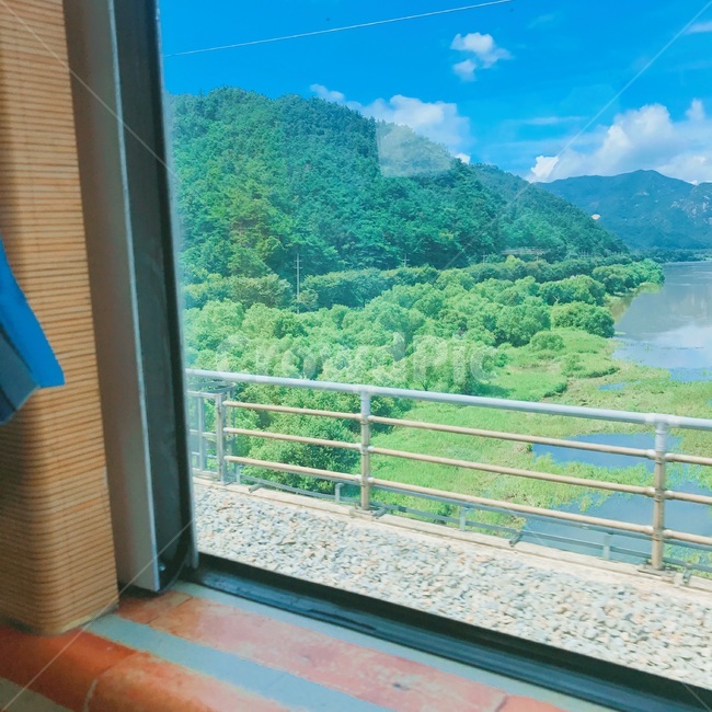 기차,train,자연,nature,창문