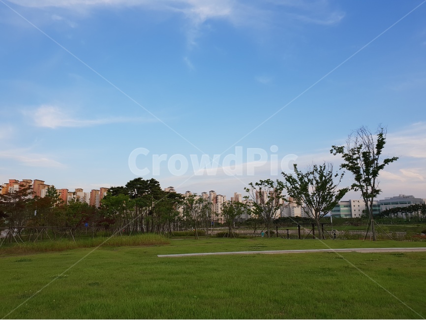 홍예공원,공원,구름,파랑하늘,풍경,봄,자연,풍경,nature,landscape,도시,city,한국도시풍경,한국도시경관,korea cityscape,plant,식물,grass,잔디,lawn