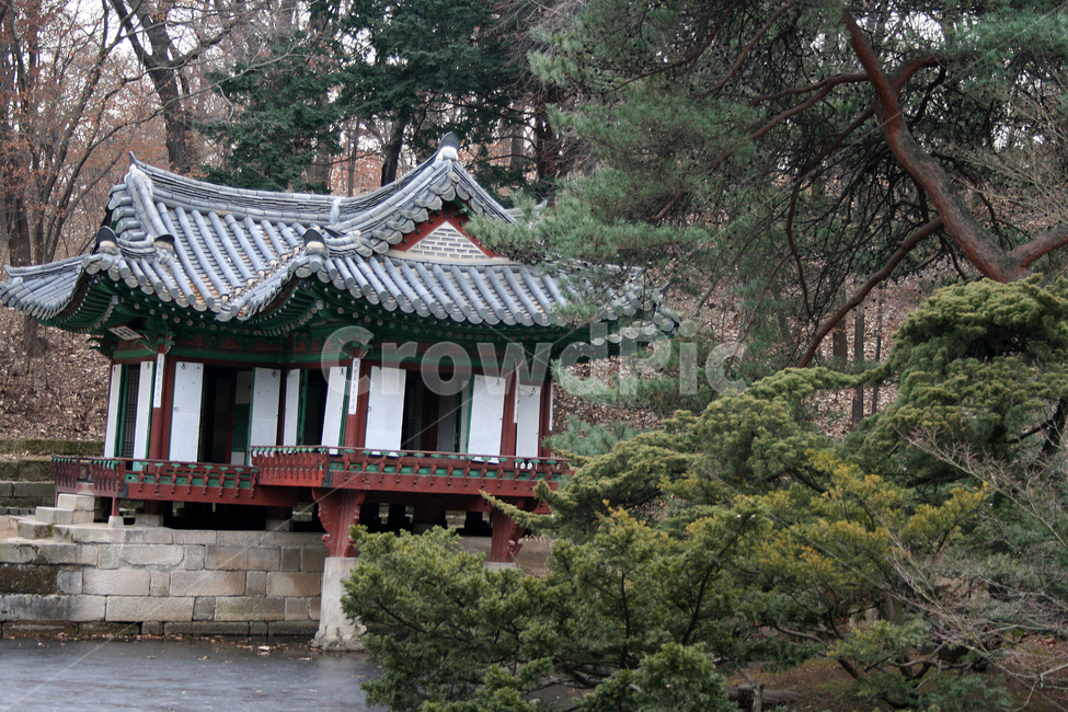 창덕궁,후원,부용정,부용지,세계문화유산,문화유산,한국,한국전통,한국문화,korean traditional,korean culture,랜드마크,landmark,tourist attraction,한국랜드마크,한국관광지,한국명소,korea landmark,korea tourist attraction