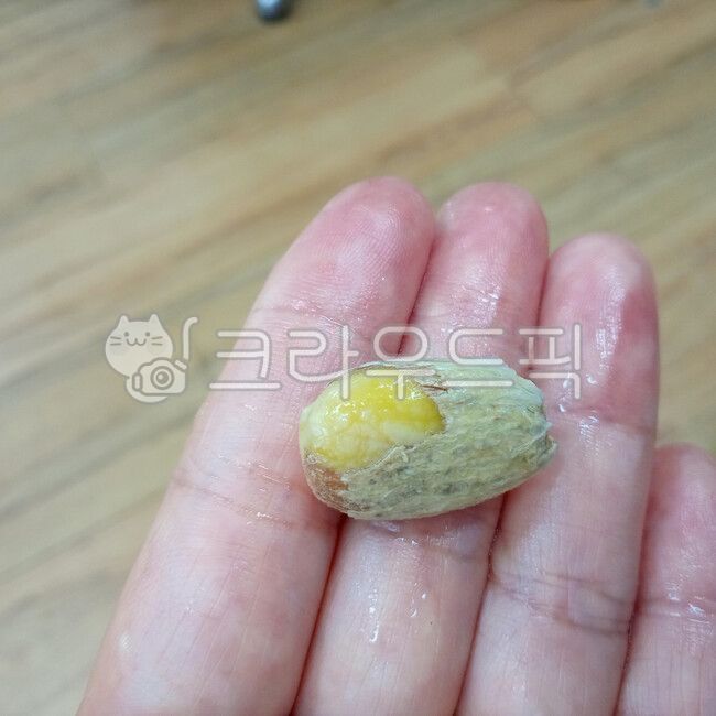 Rambutan seed shell,Rambutan seeds,seed,Rambutan,food