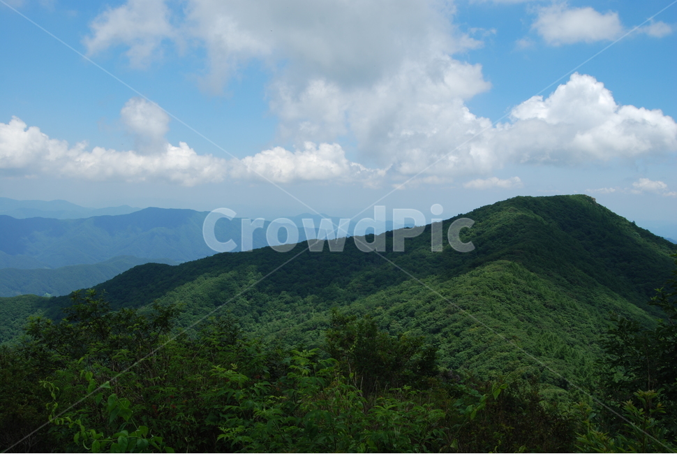 삼신봉,한국산야,여름,휴양림,탐방로,자연,풍경,nature,landscape,한국자연풍경,한국자연경관,korea nature landscape,outdoors,옥외,hill,언덕