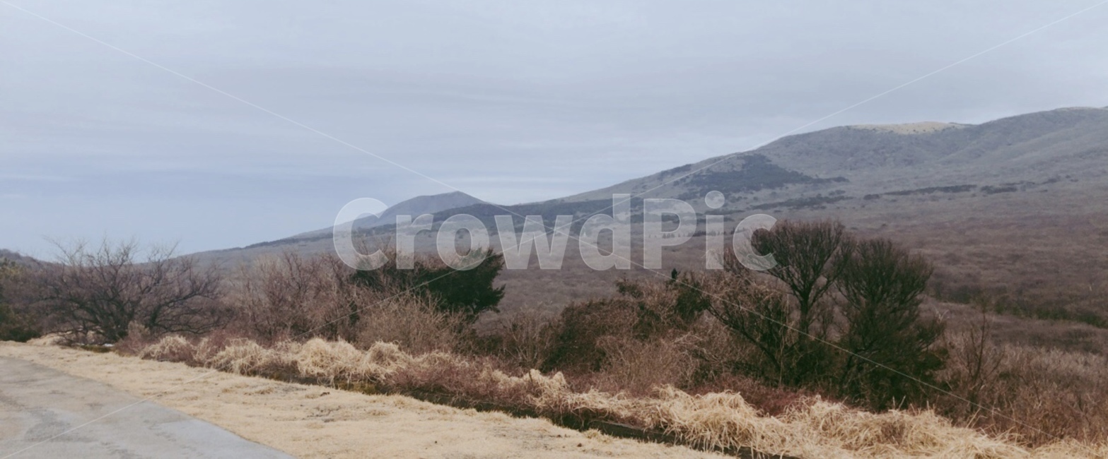 제주도,한라산,겨울,눈산,산,눈,풍경,경치,제주,오름,흐린날,자연,풍경,nature,landscape,outdoors,옥외