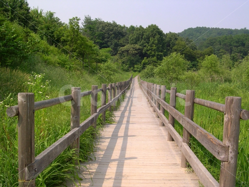 길,산책로,공원,산,road,숲,자연,nature,산책,목책,목책로,탐방로,자연,풍경,nature,landscape,boardwalk,bridge,다리,building,건물