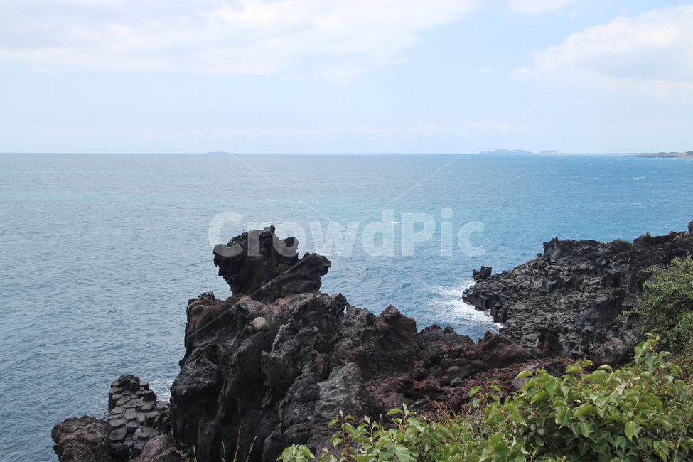 자연,바다,섬,제주도,nature,sea,대양,water,물,휴가,풀,파도