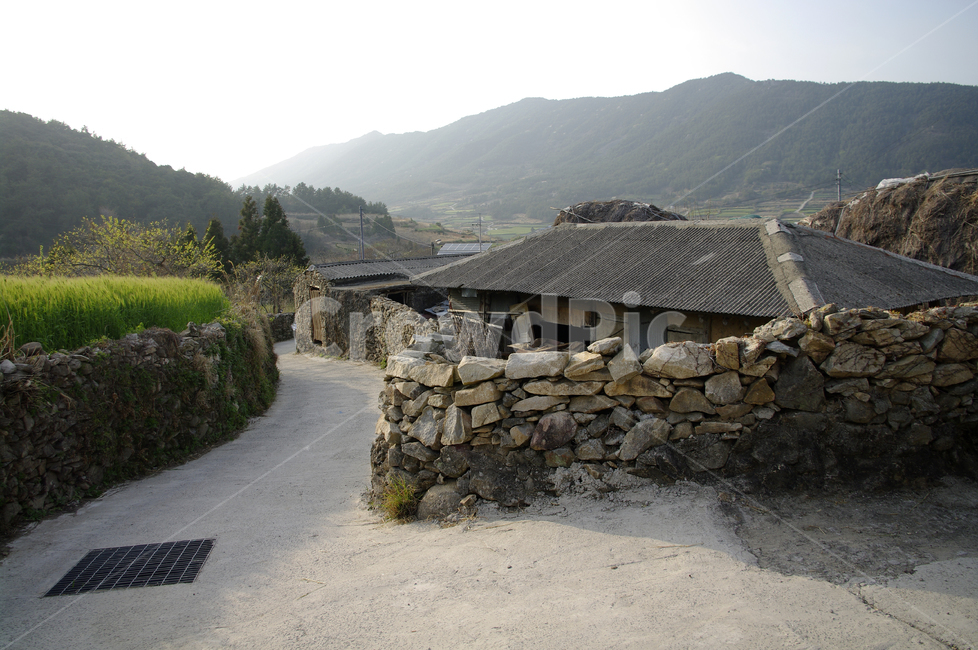 청산도,돌담길,돌담,집,길,보리밭,식물,plant,시골,마을,풍경,landscape,country,rural,town