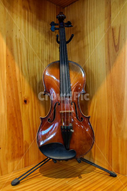 바이올린,공방,악기사,violin,바이올린제작,수제바이올린,handmade,악기,음향기기,musical instrument,musical equipment