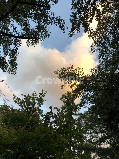 노을,풍경,하늘,구름,sunset,sky,cloud