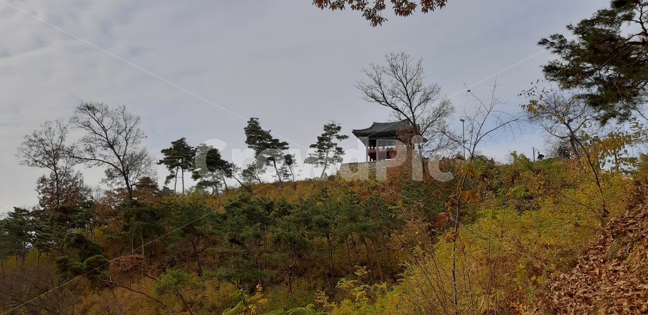 공주,공산성,백제유적,공산정,성곽길,자연,풍경,nature,landscape,한국자연풍경,한국자연경관,korea nature landscape,outdoors,옥외