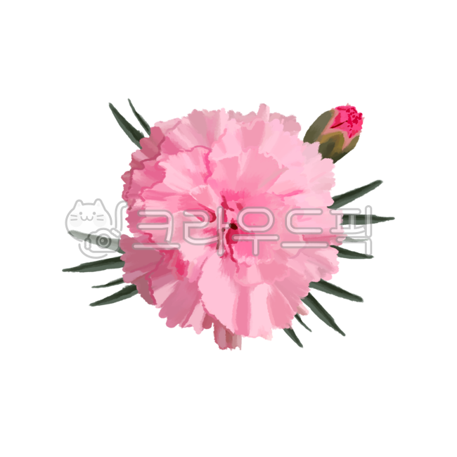 spring picture,Mothers Day Flowers,In May,May symbol,carnation,A bunch of carnations,flower sticker,spring flowers,spring,Teachers Day symbol,One flower,Teachers Day Flowers,flower icon,carnation sticker,flower png,Carnation illustration,Teachers day,fami