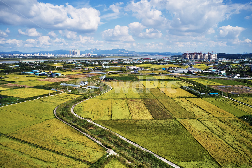 조감도,aerialview,평야,field,김포평야,농촌,도농복합,자연,풍경,농업,농사,agriculture,farming,farming industry
