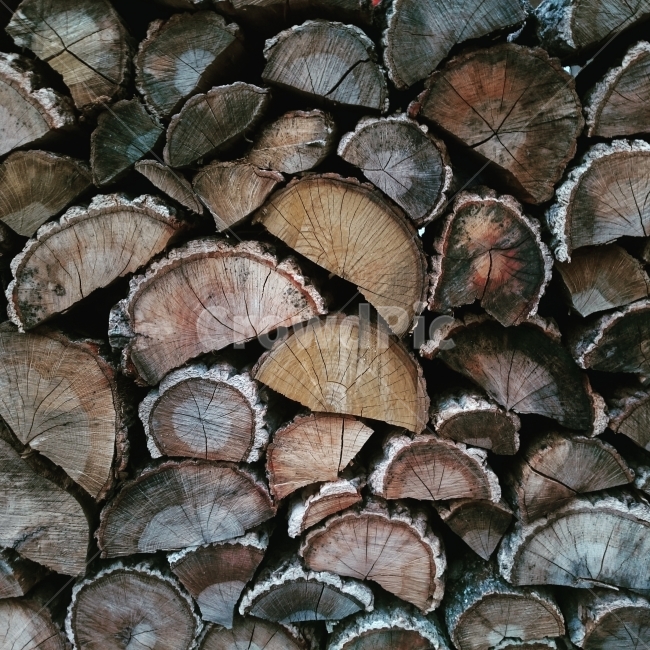 나무,장작,낡은,문양,패턴,겨울,계절,winter,season,텍스처,질감,패턴,texture,pattern