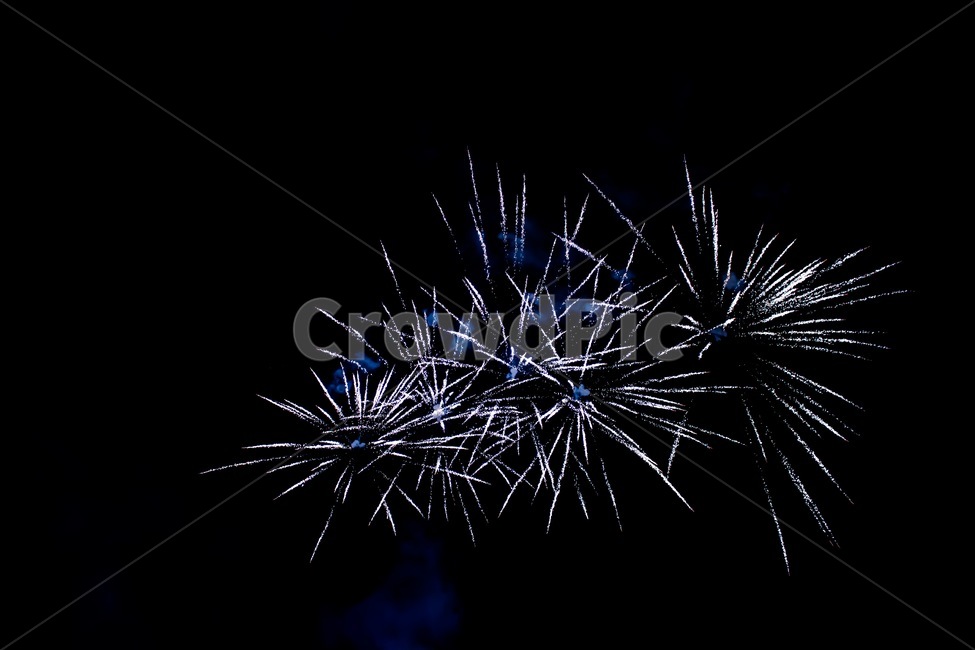 폭죽,불꽃,불꽃놀이,색감,생동감,불빛,축제,2019,신년,놀이,화려함,컬러,색깔,색,아름다움,감성,야경,밤,풍경,nightscape,night,landscape,축제,행사,festival,carnival,event,nature,자연,outdoors,옥외