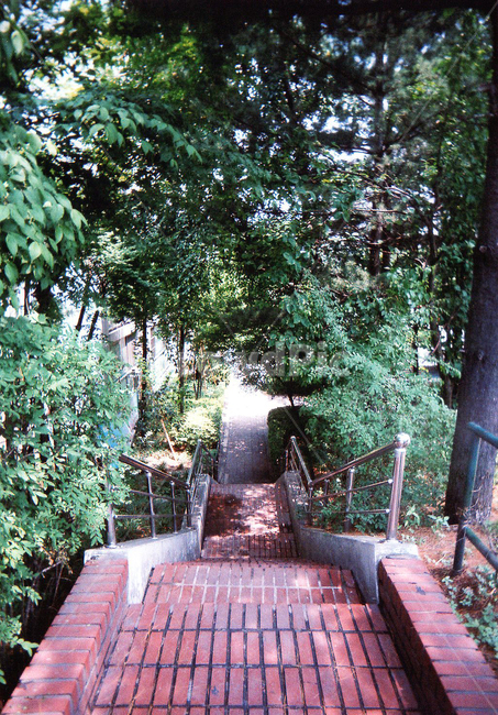 벽돌길,나무,내리막길,벽돌계단,갈색,초록색,자연,풍경,nature,landscape,garden,정원,outdoors,옥외,arbour,정자