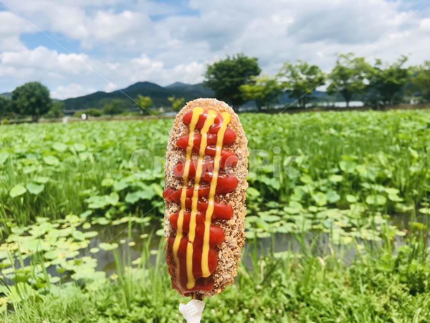 양평,두물머리,연꽃,핫도그,여름,케찹,디저트,간식,후식,dessert,snack