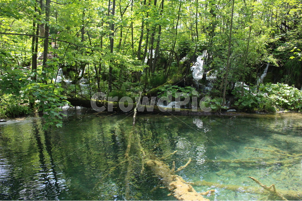 플리트비체,크로아티아,숲,forest,계곡,자연,풍경,nature,landscape,해외,외국,세계,foreign,oversea,world,세계자연풍경,해외자연풍경,외국자연풍경,world nature landscape,outdoors,옥외,land,땅,plant,식물,vegetation,초목,water,물,woodland,삼림지,tree,나무