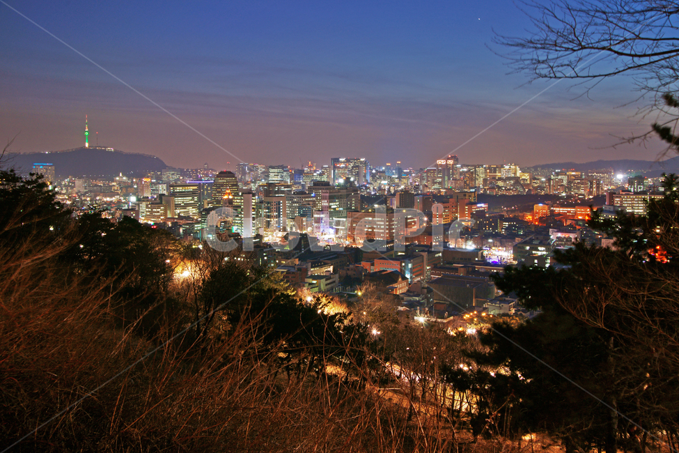 낙산공원,한양도성,야경,성곽길,도심야경,성벽,종로구