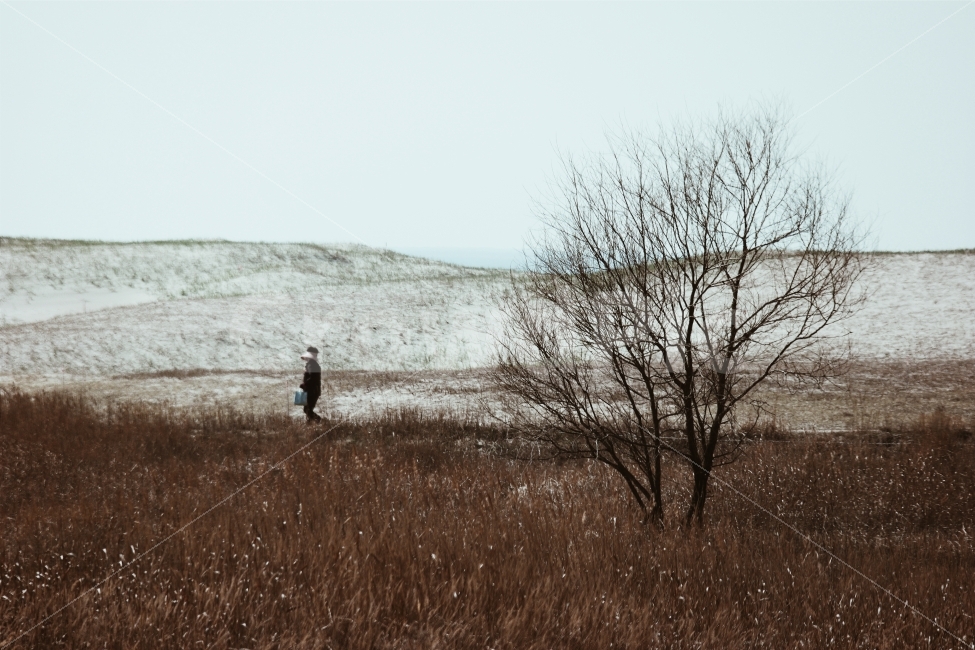 겨울,모래,사막,외로음,풍경,사구,강,새,고요,아침,경관,자연,풍광,nature,landscape,한국자연풍경,한자연경관,koreanaturelandscape,감성,감정,sensible,feeling,emotion,계절,season,마을,rural,한국전통,한국문화,koreatraditional,koreaculture,plant,나무,trees,wood,겨울,계절,winter,season,자연,풍경,nature,landscape,한국자연풍경,한국자연경관,korea nature landscape,식물,plants,나무,trees,wood,사람,인물,인간,human,person,outdoors,옥외,land,땅