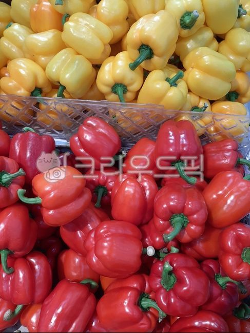 파프리카, food, 음식, vegetable, 채소, 사진,이미지,일러스트,캘리그라피 - wideart작가