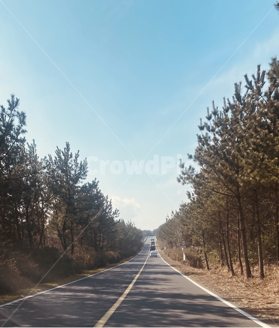 road,도로,아스팔트,제주도로,highway,고속도로