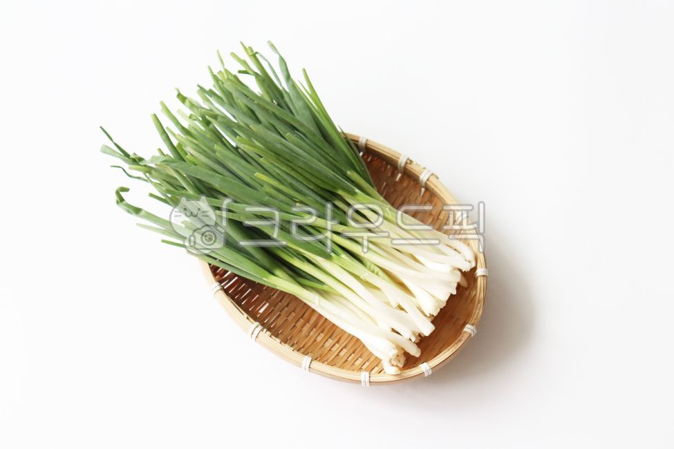 파, 쪽파, 음식, food, 식재료, 사진,이미지,일러스트,캘리그라피 - 백수민작가