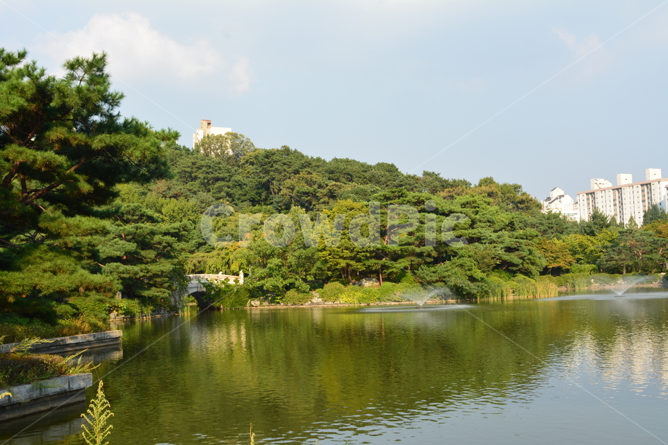 호수,공원,중앙공원,분당호,여름호수,자연,풍경,nature,landscape,water,물,outdoors,옥외