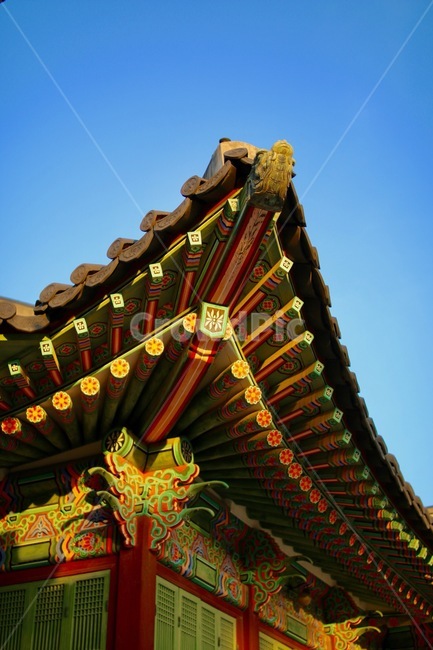 덕수궁,한국,전통,고궁,문화재,궁,건축물,건물외관,landscape,koreanculture,한국전통,한국문화,korean traditional,korean culture,건축물,건물외관,exterior,building,structure,architecture,construction