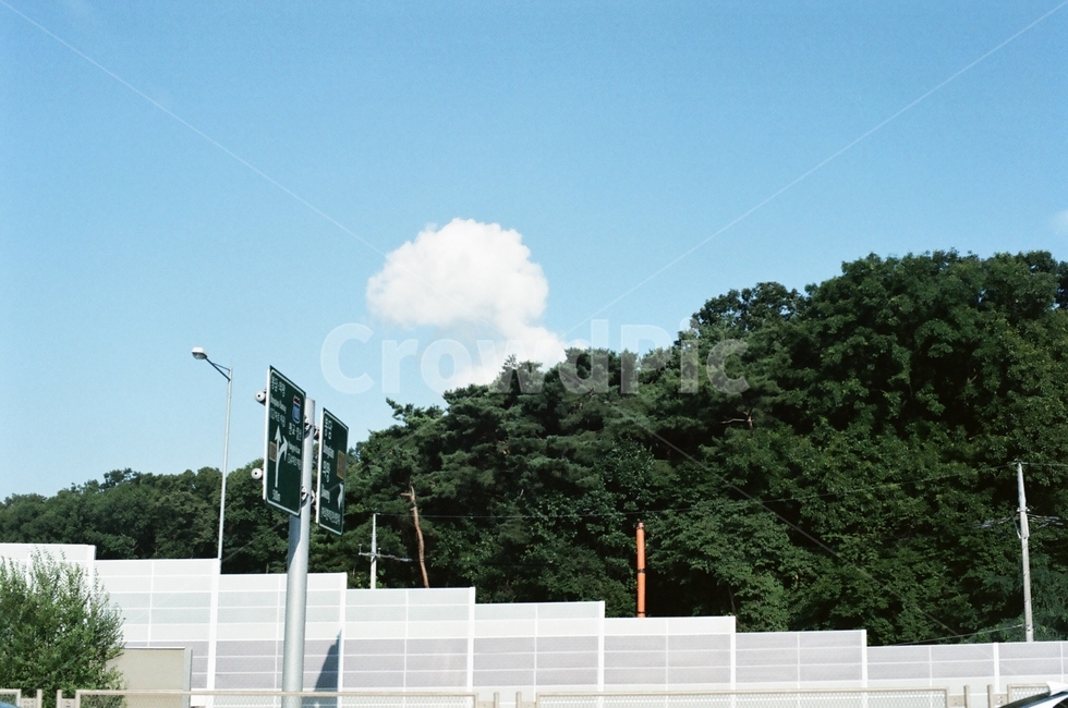 캐릭터모양,초록나무,파랑하늘,표지판,구름,자연,풍경,nature,landscape
