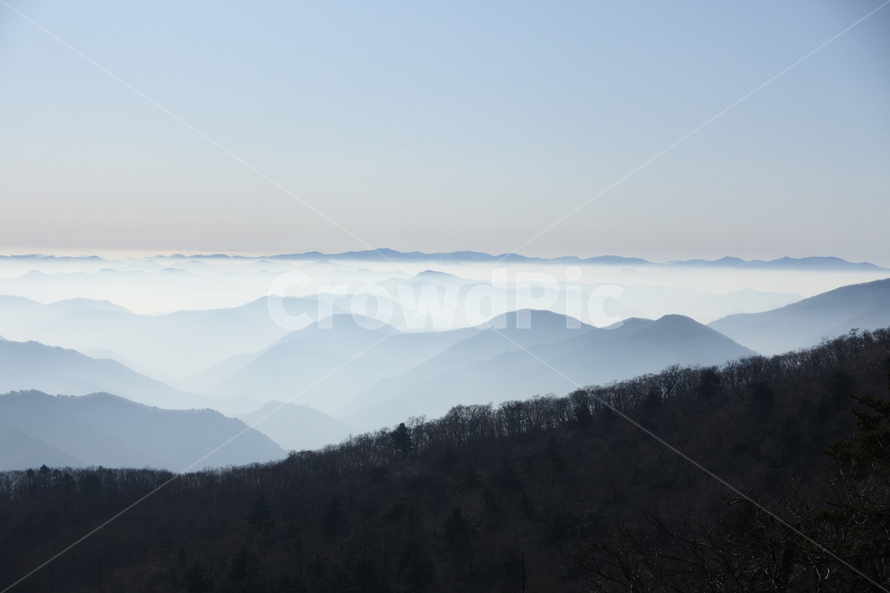 자연,발왕산,산,정상,운무,안개,몽환적인,실루엣,옥외,nature,outdoors,mountain,자연,풍경,nature,landscape