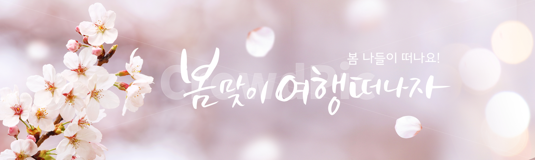 벚꽃,꽃,꽃잎,캘리,캘리그라피,손글씨,붓글씨,봄,프레임,쇼핑,배너,봄,계절,spring,season,식물,자연,plants,nature,꽃,flower,여행,휴가,traveling,vacation,trip,캘리그라피,손글씨,calligraphy