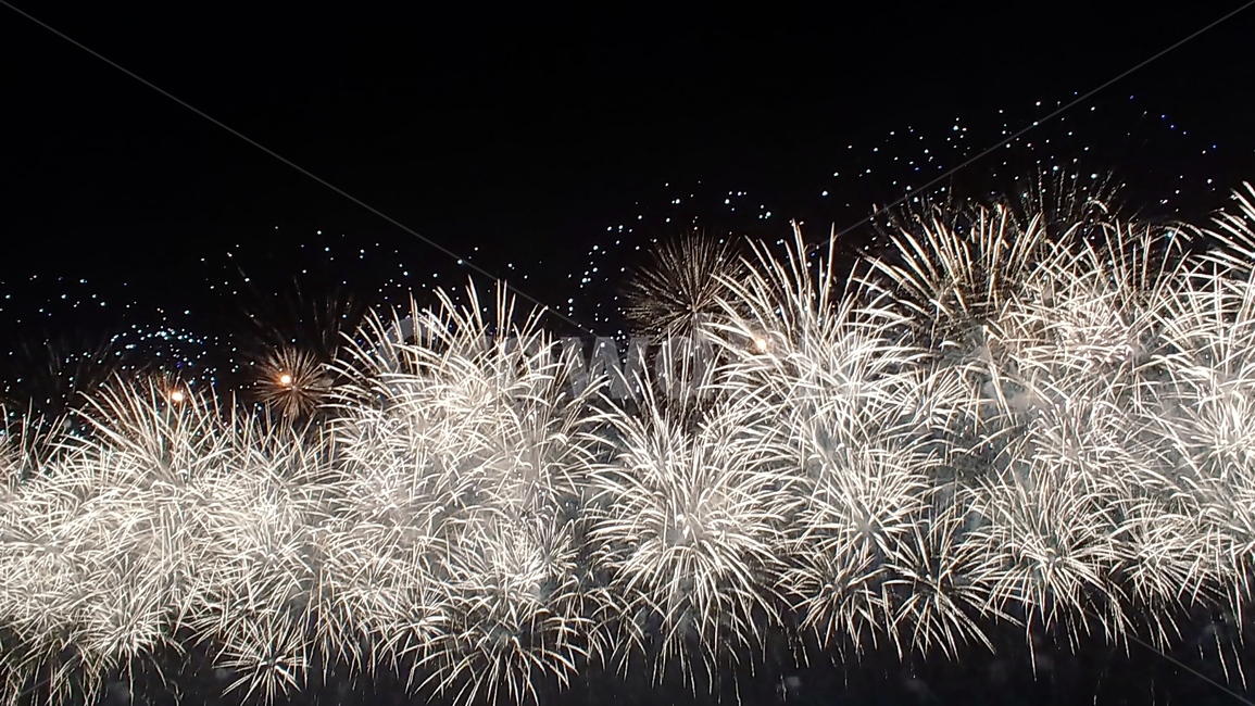 포항,불꽃놀이,야경,불꽃,국제불꽃축제