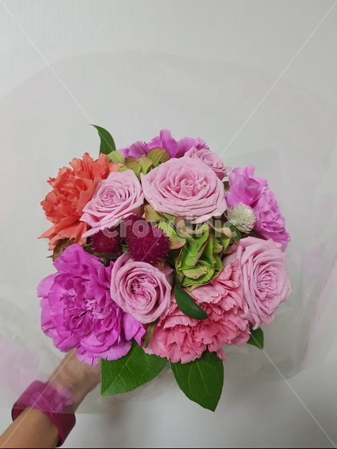 rose,꽃,꽃꽂이,부케,flowerbouquet,blossom,flower,꽃,flower
