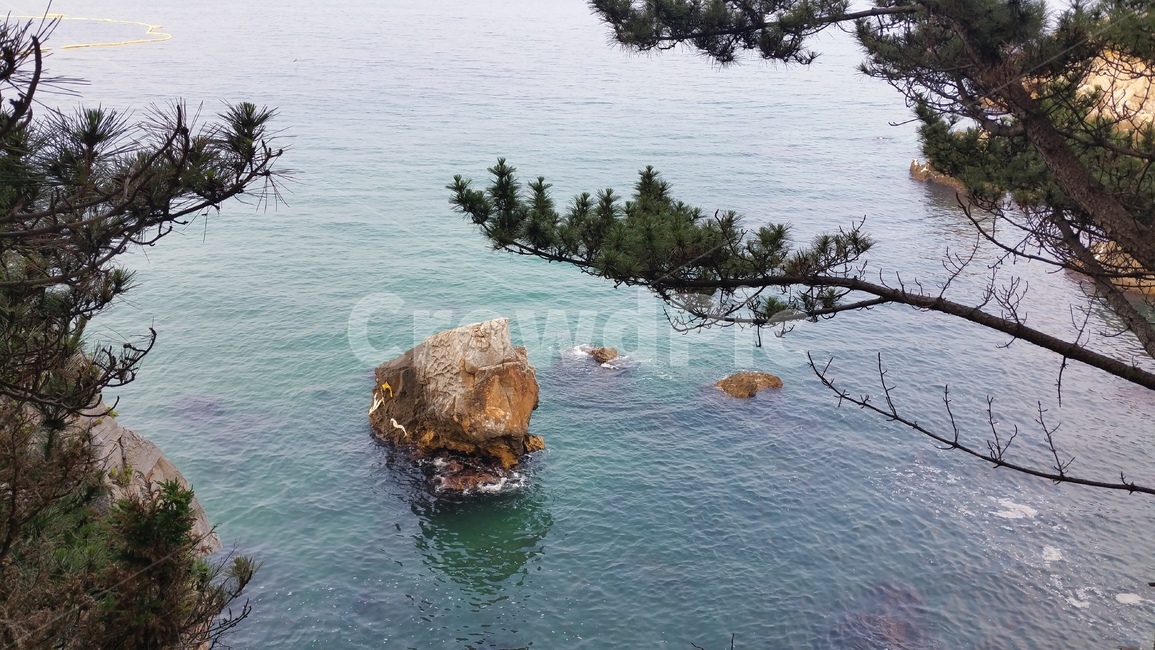 자연,nature,강원도,삼척,바다경치,풍경,소나무,돌,괴석,푸른소나무,에메랄드빛,나라,land,바다,sea,해안선