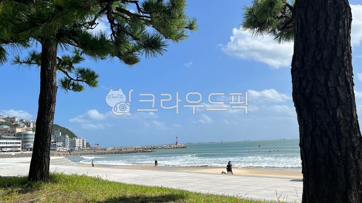 해운대해수욕장,해운대,해수욕장,바다,여름,휴가,여름휴가,휴식,백사장,모래,풍경,해변,여름풍경,나무,편안한,해안,관광,명소,부산,한국,계절,물,파랑,summer,nature,sea,tree