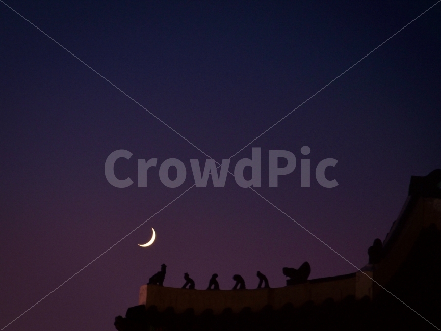 손톱달,초승달,경복궁야경,가을하늘,야경,야경,밤,풍경,nightscape,night,landscape,건축물,건물외관,exterior,building,structure,architecture,construction,한국전통,한국문화,korean traditional,korean culture,nature,자연,outdoors,옥외,bird,새,animal,동물