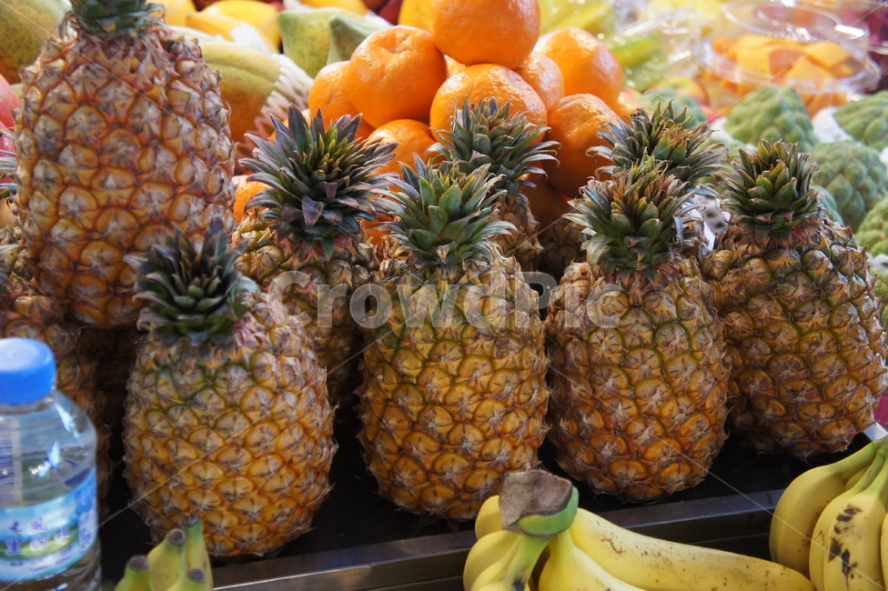 파인애플,과일,오렌지,과일가게,물,음식,식재료,요리,food,cook,meal,dishes,food reserves,과일,열매,fruit