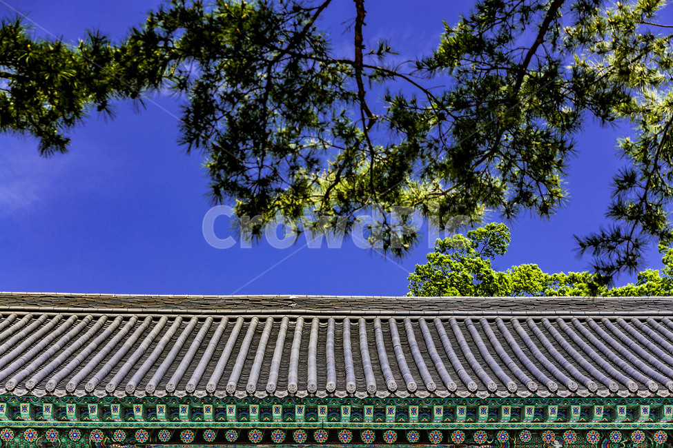 기와,지붕,전통가옥,전통건축,고건축,한옥,단청,한국전통,한국문화,korean traditional,korean culture,건축물,건물외관,exterior,building,structure,architecture,construction