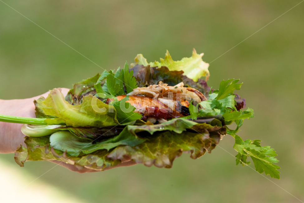 쌈밥,야채,돼지고기,고기쌈밥,신선한,건강한,상추,음식,식재료,요리,food,cook,meal,dishes,food reserves,채소,야채,vegetables
