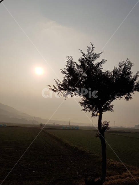 전남,구례,오미리마을,저녁놀,날씨,자연,nature,나무,tree