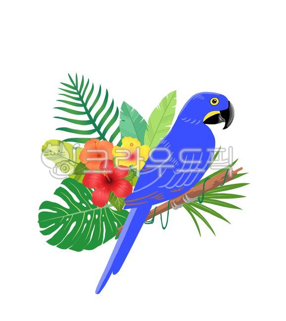 animal,동물,bird,새,마카우,앵무새,열대,열대우림,식물,잎,열대식물,정글,화려한새,자연,여름,summer,macaw,금강앵무,잉꼬,꽃,flower,nature,illustration,일러스트,식물일러스트,동물일러스트,초록,green,parrot,트로피칼,tropical,열대일러스트,여름일러스트,몬스테라,야자,바나나잎,나뭇잎,가지,나뭇가지,monstera,branch,leaf,plant,히비스커스,화려한,알록달록,colorful,jungle,아마존,파랑새