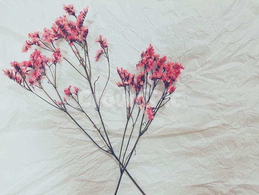 조화,꽃,꽃송이,꽃한송이,조화재료,라벤더,꽃나무,flower,花