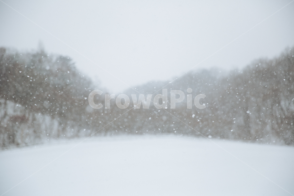 겨울,눈,감성,스냅,풍경,겨울,계절,winter,season,자연,풍경,nature,landscape,outdoors,옥외,snow,storm,폭풍,blizzard,눈보라