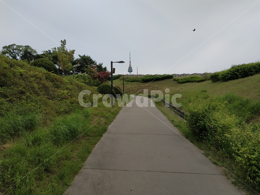 길,산책로,둘레길,남산,산책,자연,풍경,nature,landscape